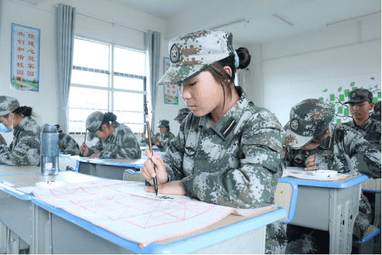 问题少年学校,青少年训练学校