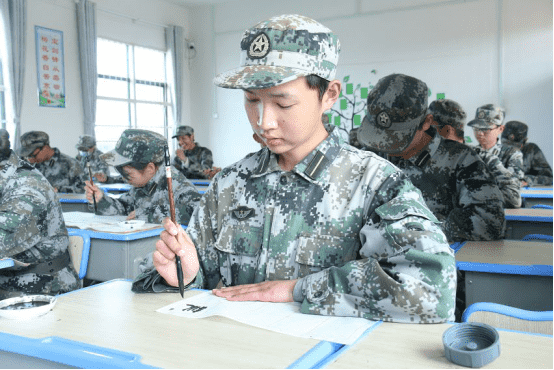 问题少年学校,青少年训练学校