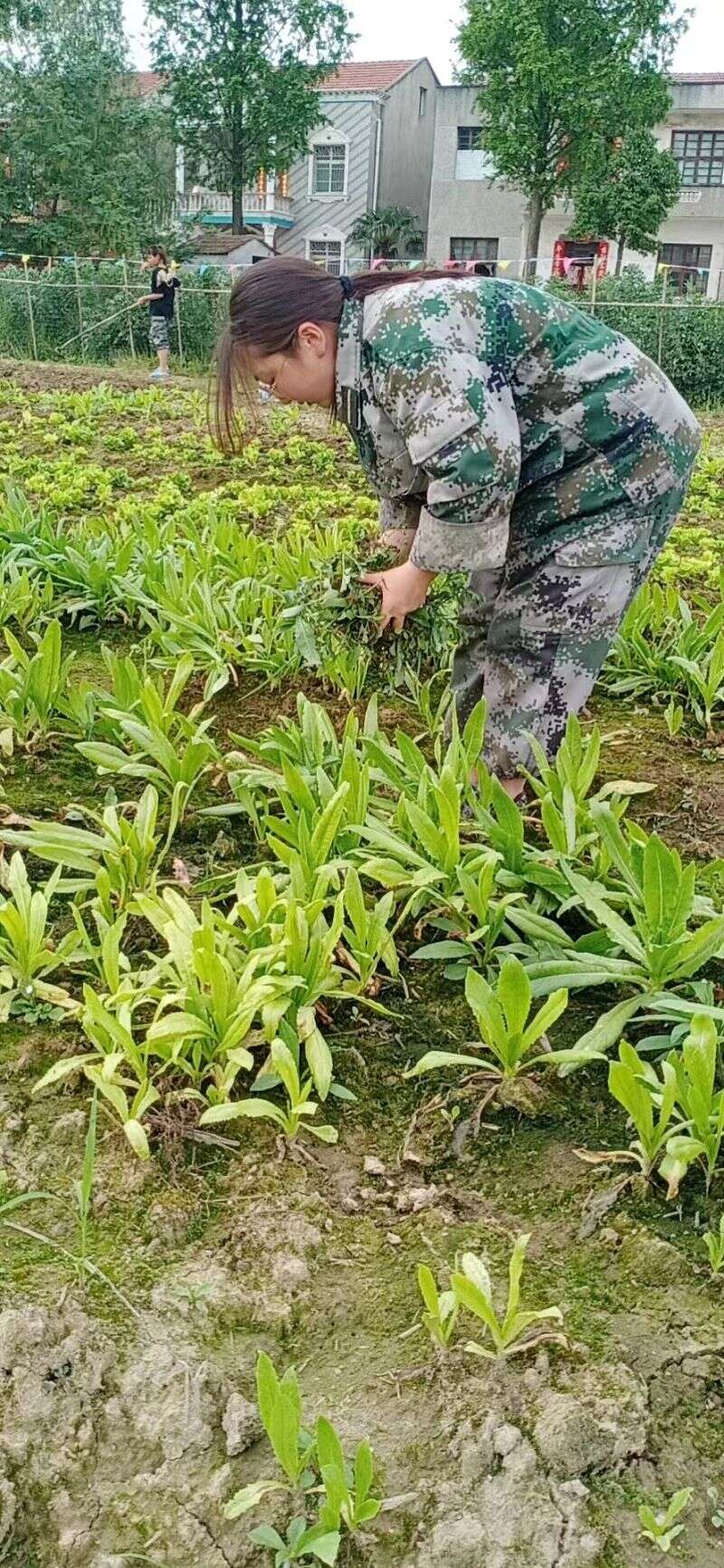 中生玩游戏上瘾叛逆怎么办？高中生玩游戏上瘾有什么表现？