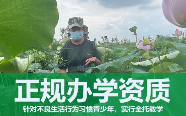 孩子叛逆期如何解决(青春期孩子叛逆怎么办)