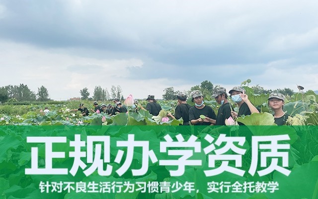 孩子网瘾的原因及背后心理(青少年沉迷网络的原因)