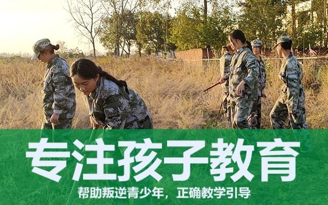 11孩子不爱学习怎么教育(11岁孩子怎么引导教育)