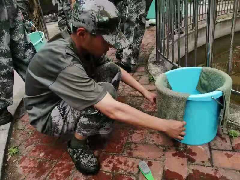 湖南怀化哪里有少年学校的问题(图2)