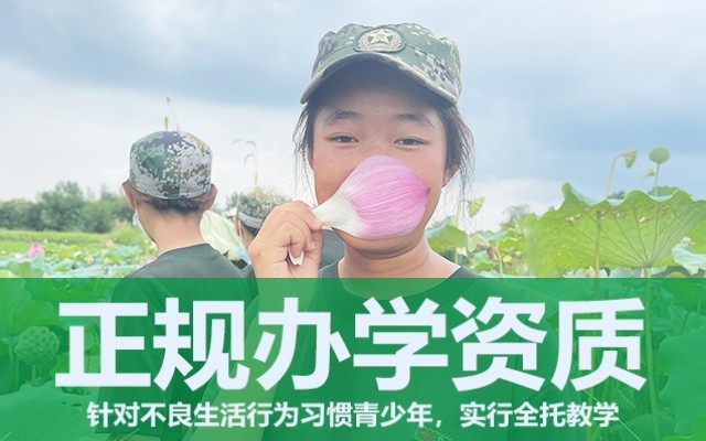 孩子网瘾的对策(如何预防孩子的网瘾)(图1)