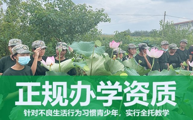 孩子叛逆偷家里的钱咋办(叛逆的孩子偷钱怎么教育)(图1)