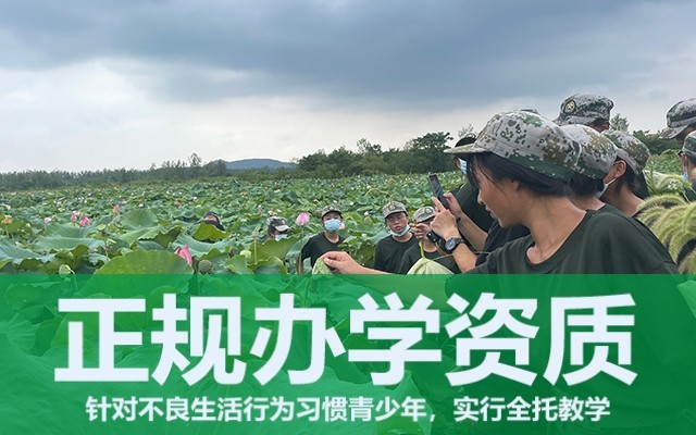 叛逆的孩子如何教育(青春期叛逆的孩子叛逆怎么引导)(图1)