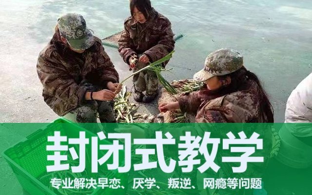 叛逆期问题小孩教育学校(家长教育叛逆孩子情绪失控)(图1)