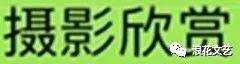 孩子叛逆期妈妈有办法(妈妈对叛逆期孩子说的心里话)(图10)