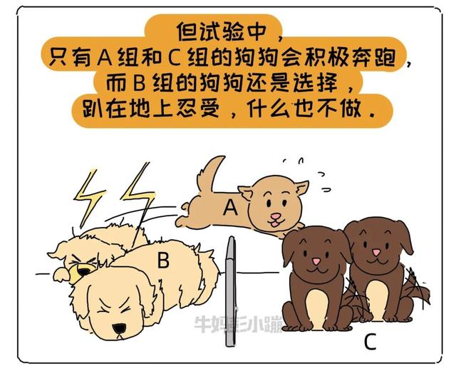 家长打骂孩子怎么办(家长打孩子怎么办)(图21)