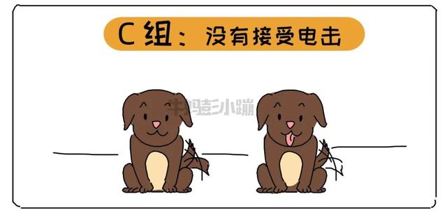 家长打骂孩子怎么办(家长打孩子怎么办)(图19)
